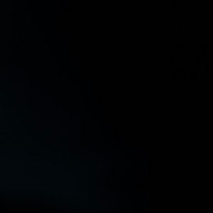 Meet your Posher, Brady